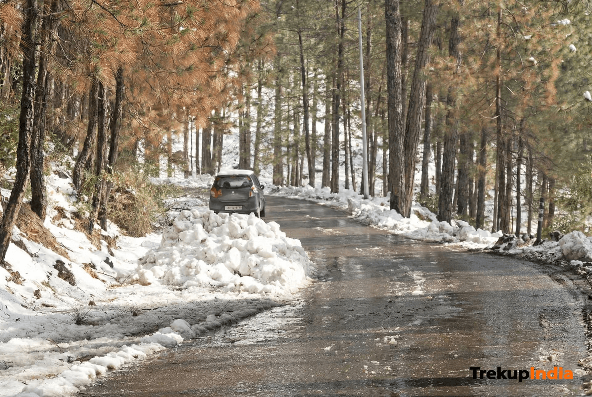 Kedarkantha Trek – Day 1