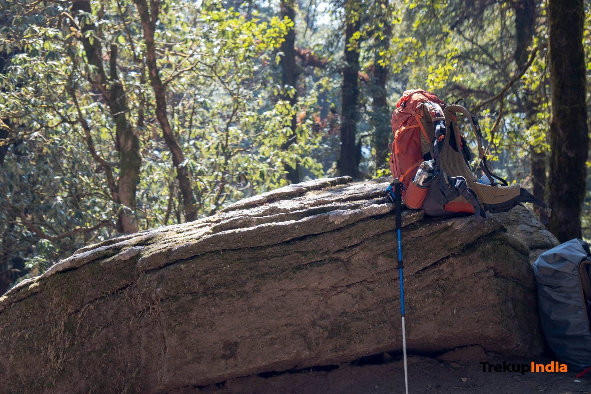Brahmatal Trek – Day 2