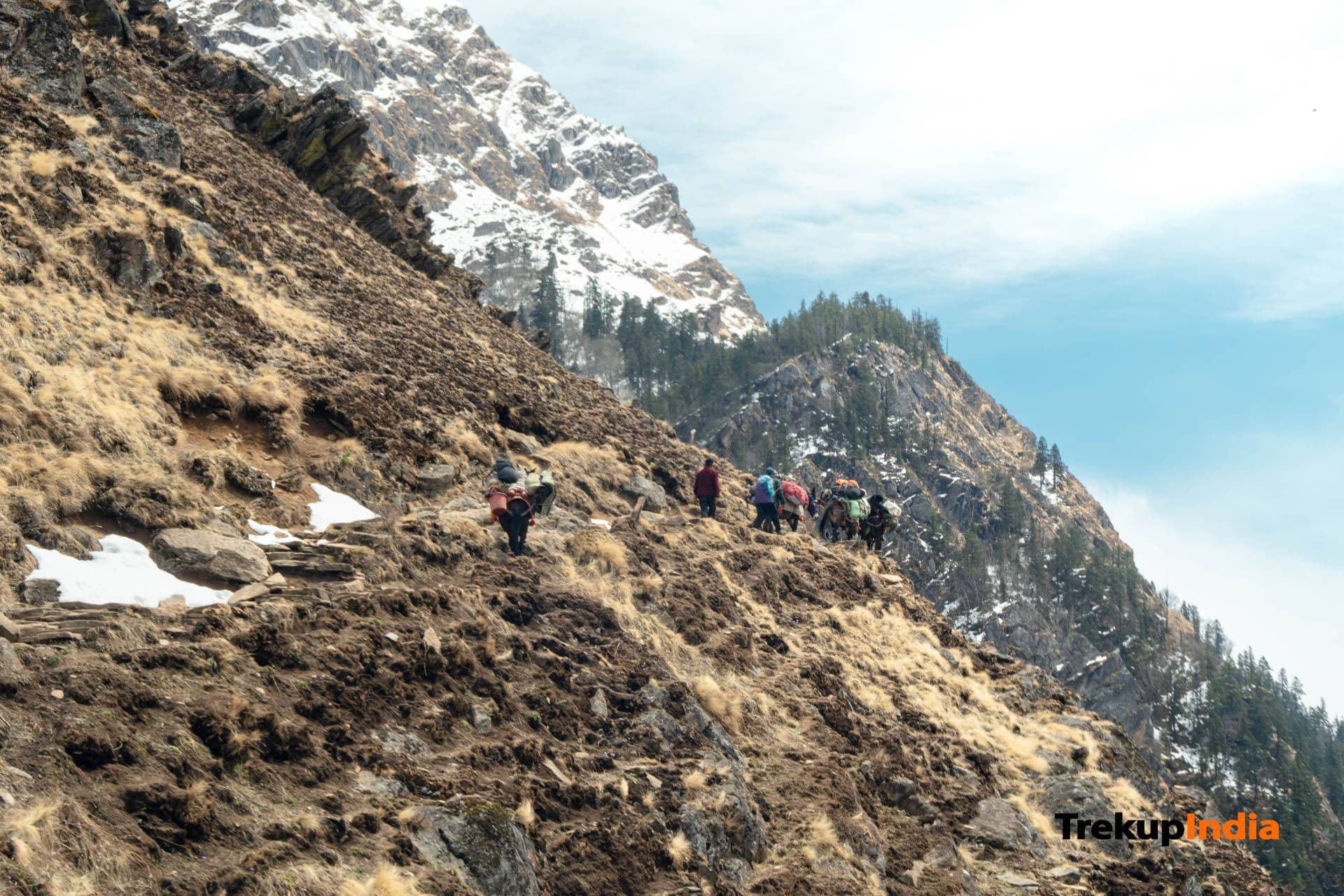 Trek highlight