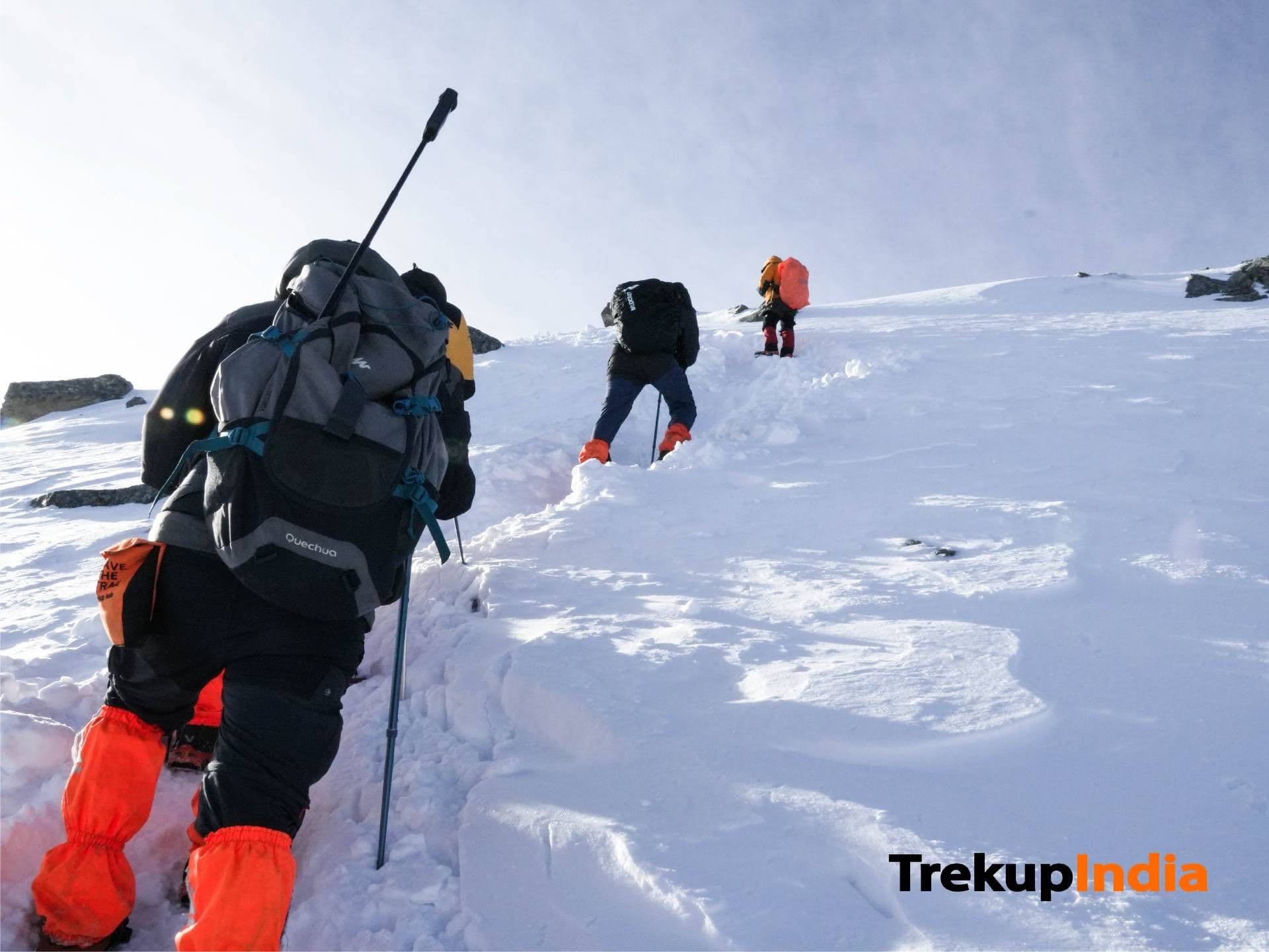Trek highlight