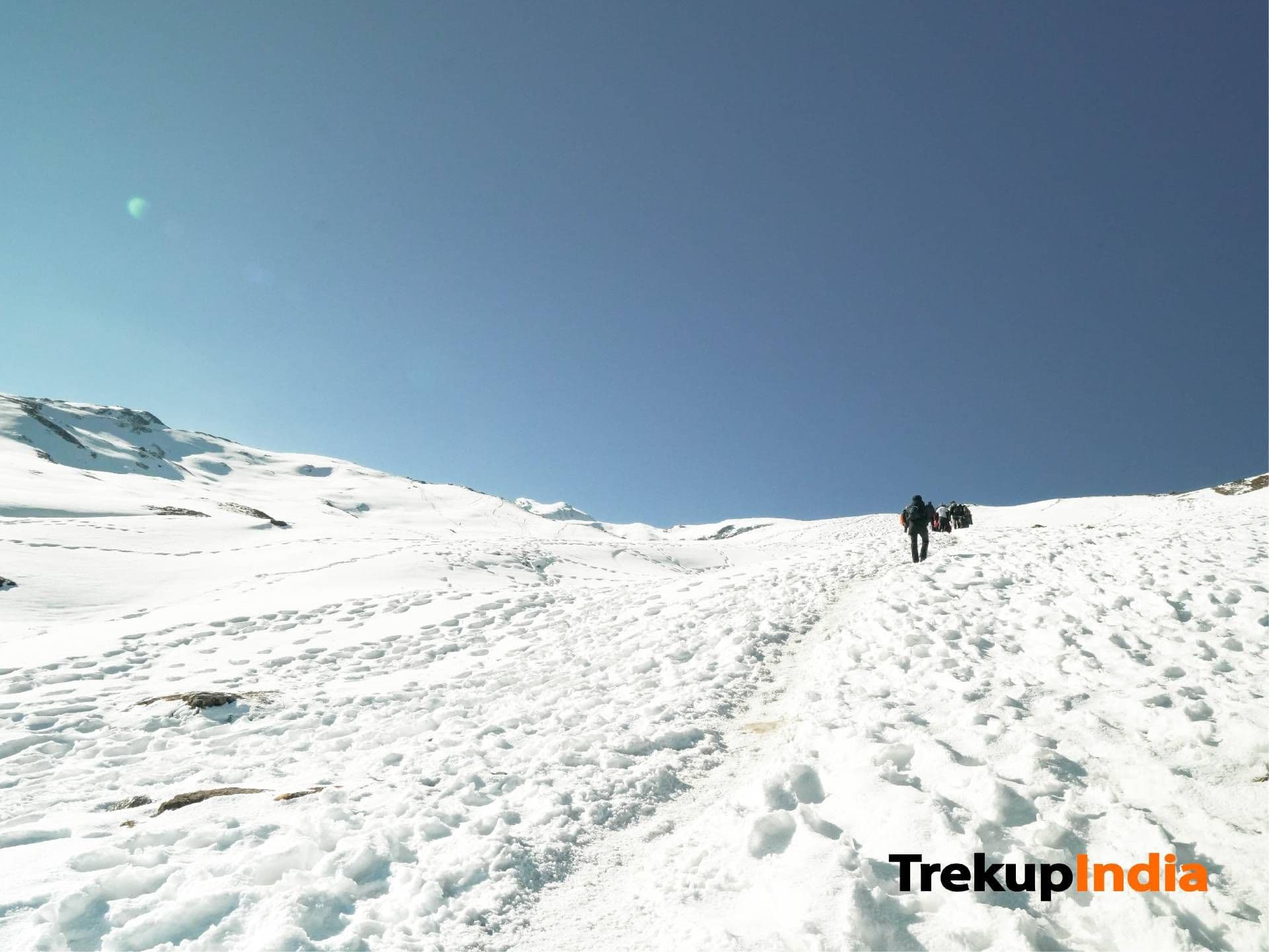 Trek highlight