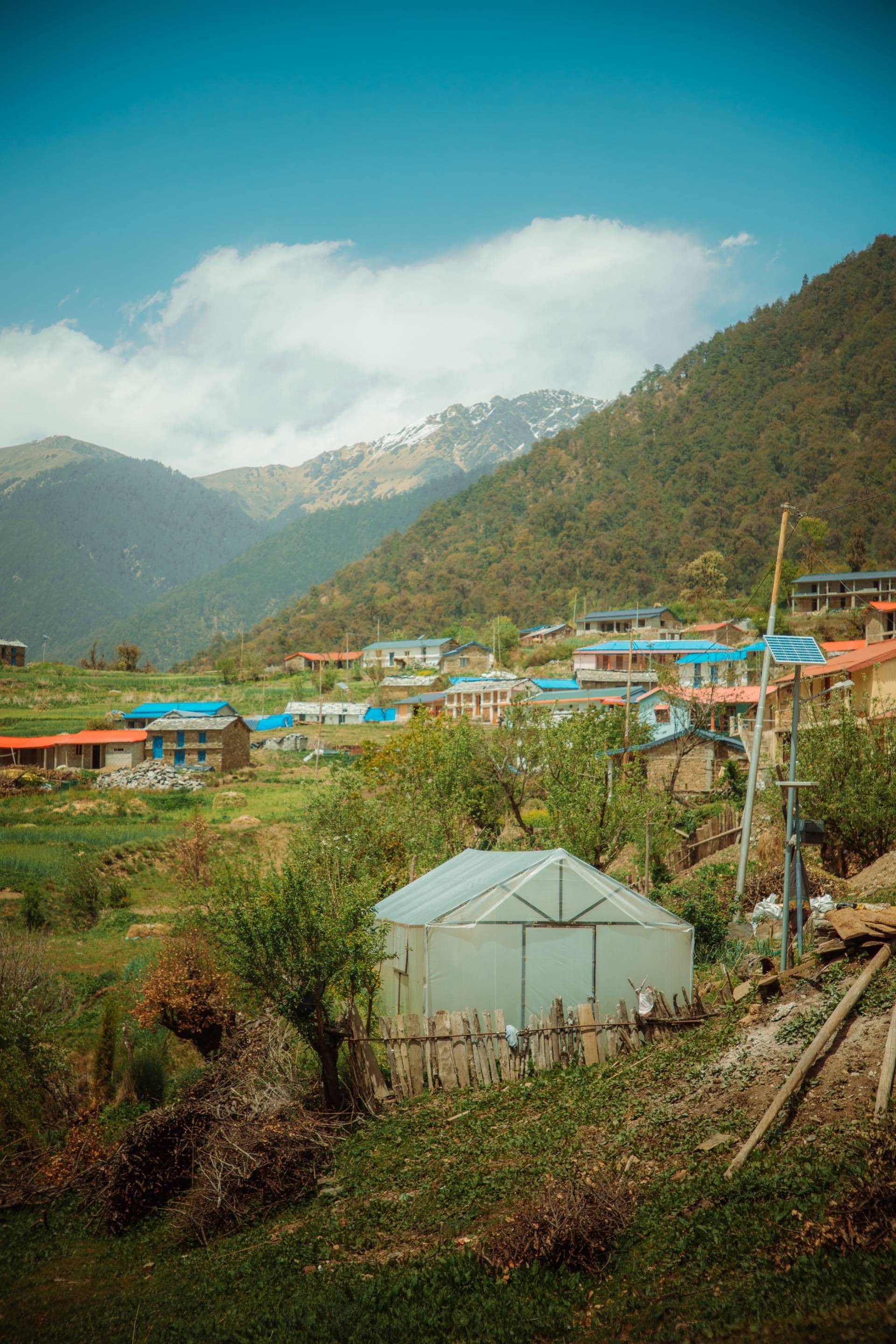 Ali Bedni Bugyal Trek – Day 2
