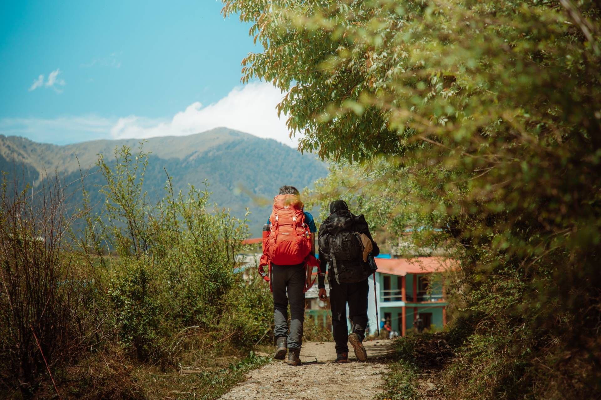 Ali Bedni Bugyal Trek – Day 2