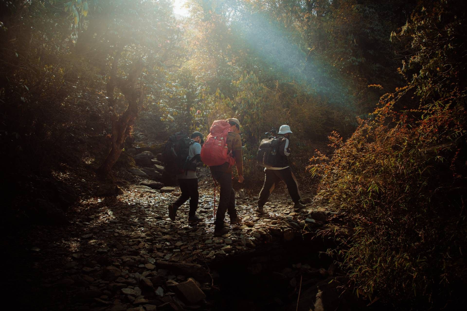 Ali Bedni Bugyal Trek – Day 3