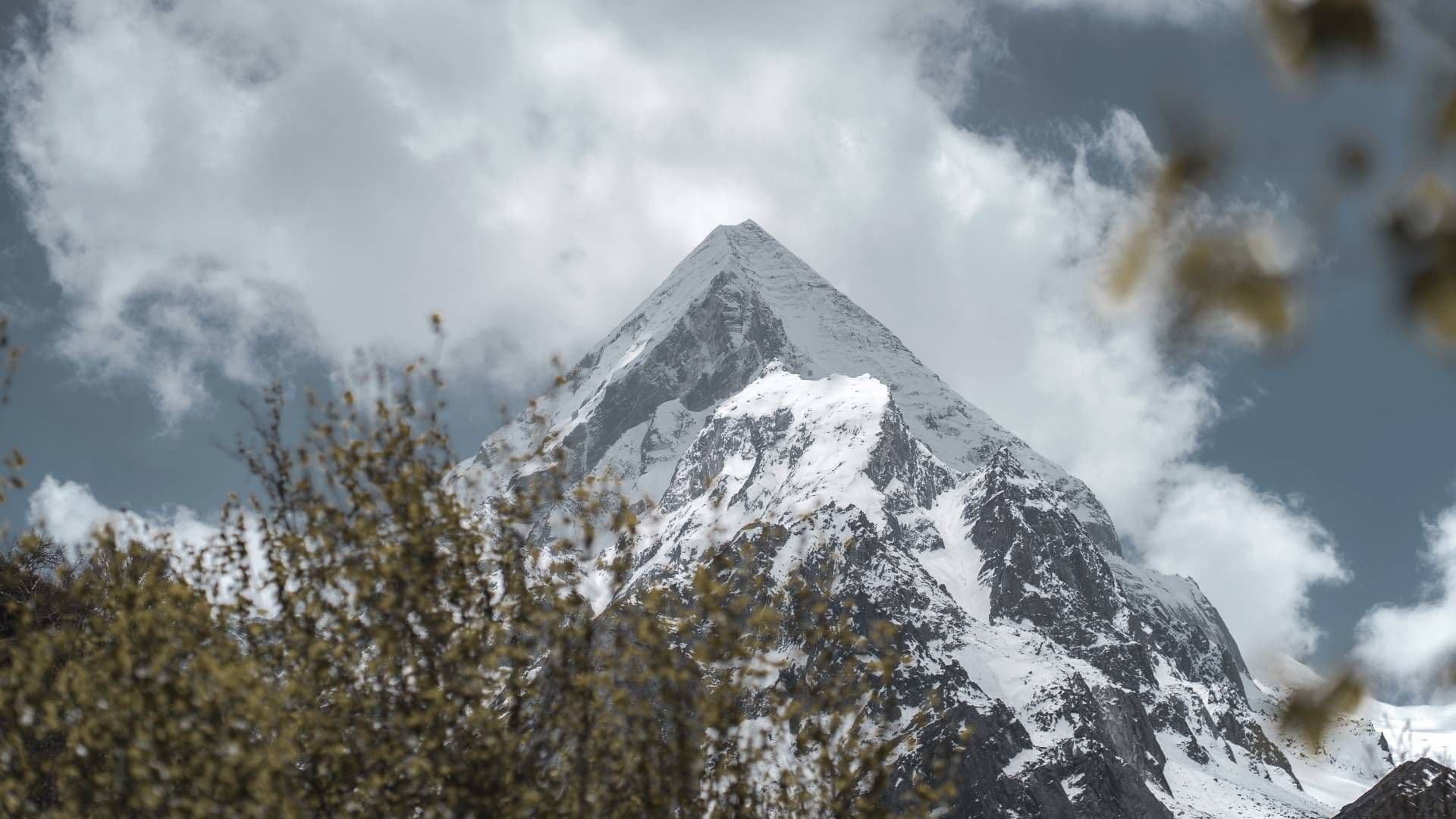 Trek highlight