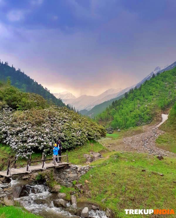 Bali Pass Trek – Day 4 Bali Pass Trek – Day 4
