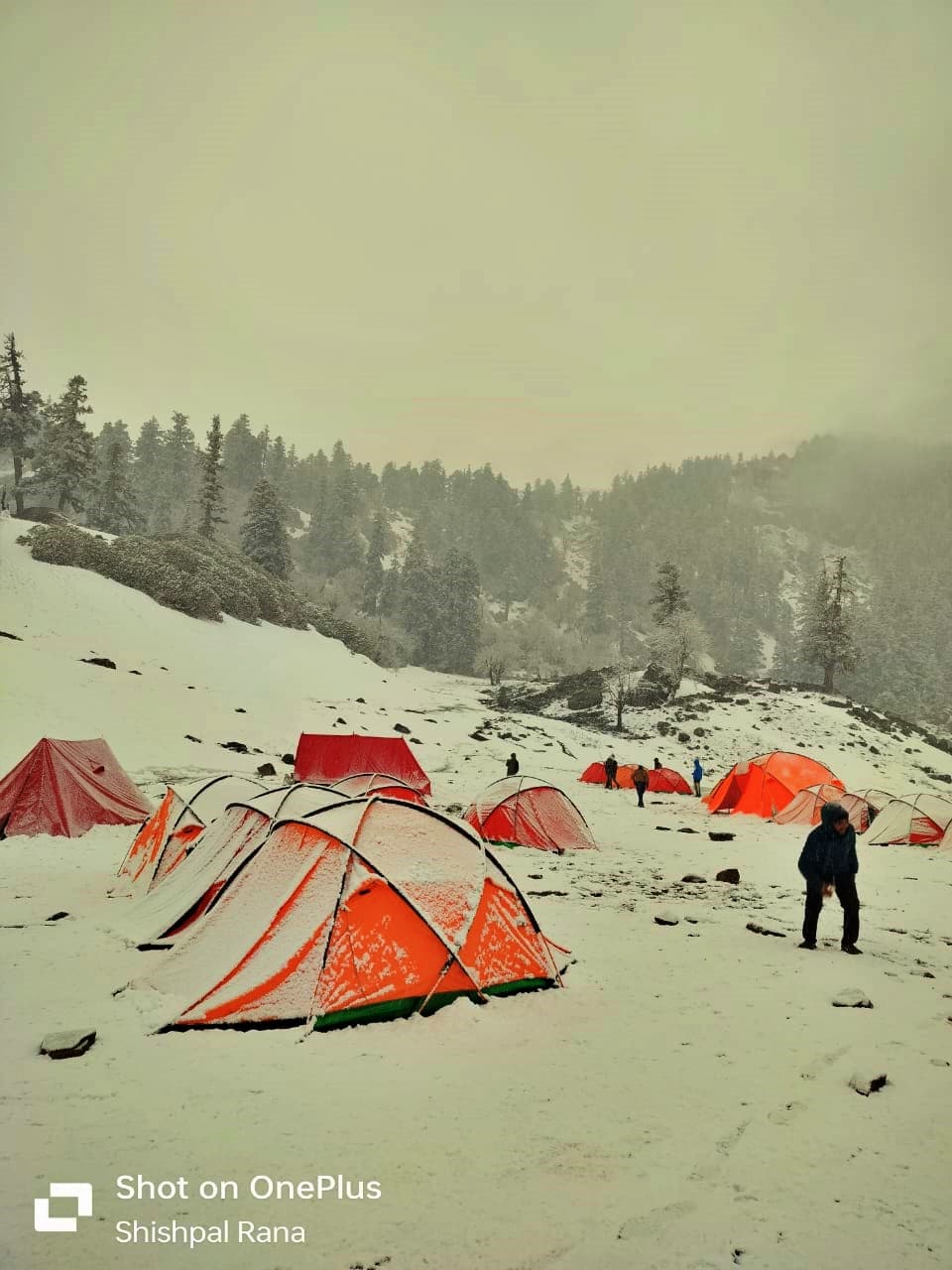 Kuari Pass Trek – Day 3 Kuari Pass Trek – Day 3