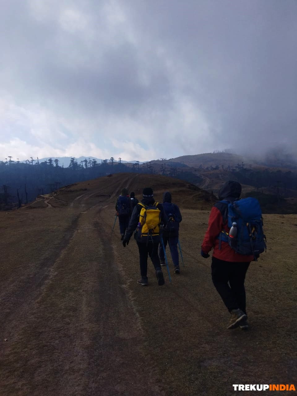 Sandakphu Phalut Trek – Day 5 Sandakphu Phalut Trek – Day 5