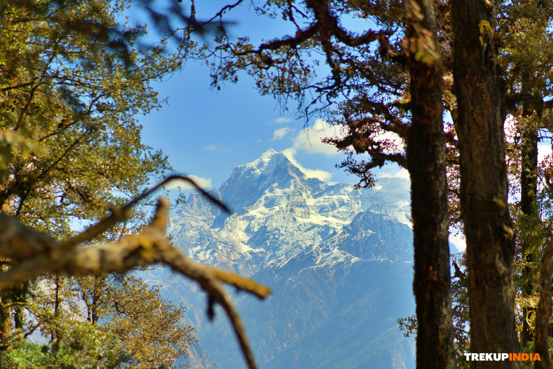 Kuari Pass Trek – Day 3 Kuari Pass Trek – Day 3