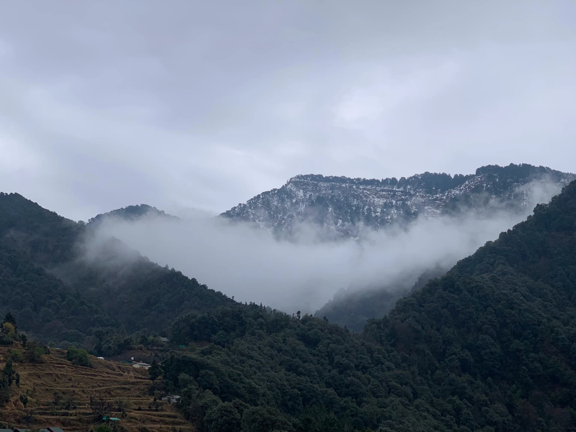 Valley Of Flowers Trek – Day 1 Valley Of Flowers Trek – Day 1