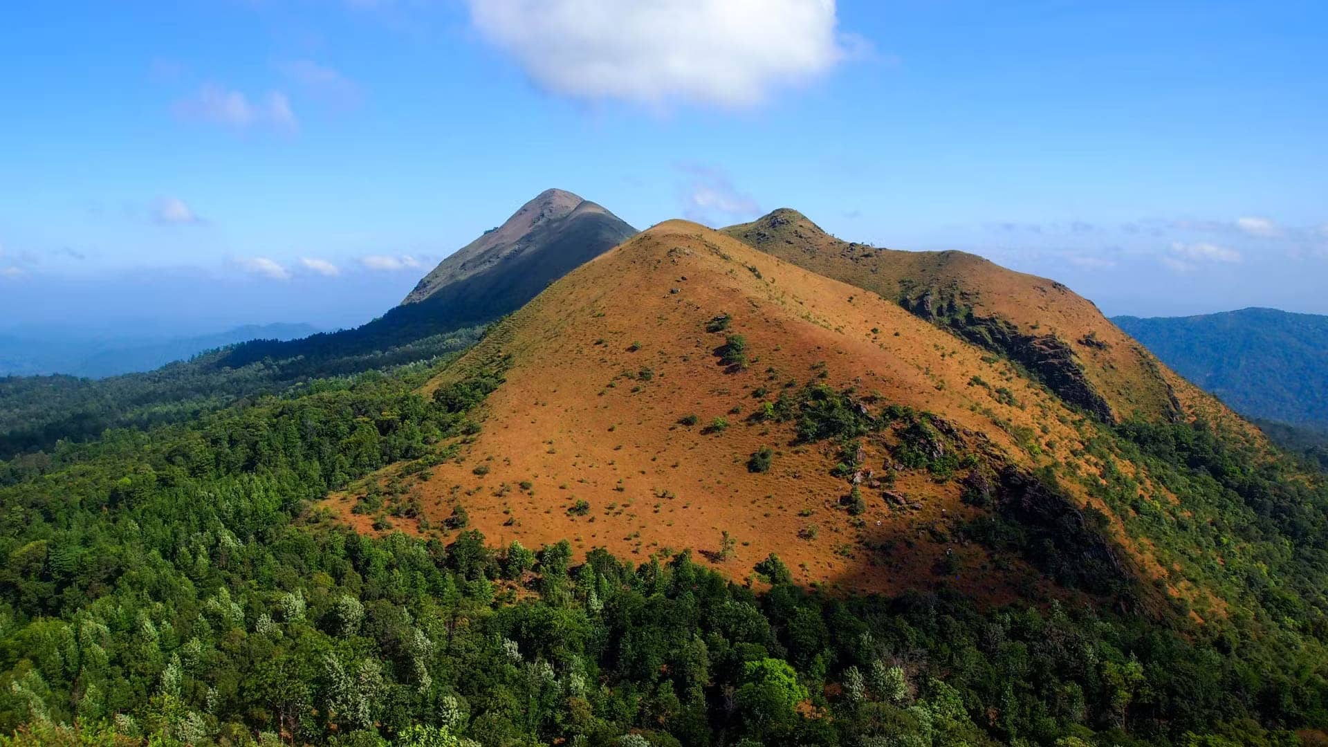 Aane Gudda Trek Aane Gudda Trek