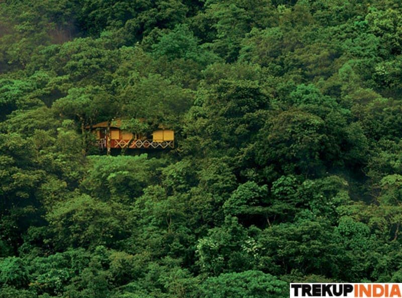 Banasura Hill Trek Banasura Hill Trek