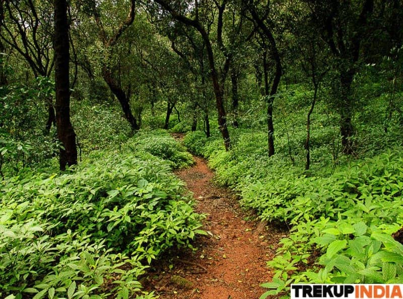Bhoot Bangla Trek | Mysterious & Offbeat Himalayan Trek Bhoot Bangla Trek | Mysterious & Offbeat Himalayan Trek