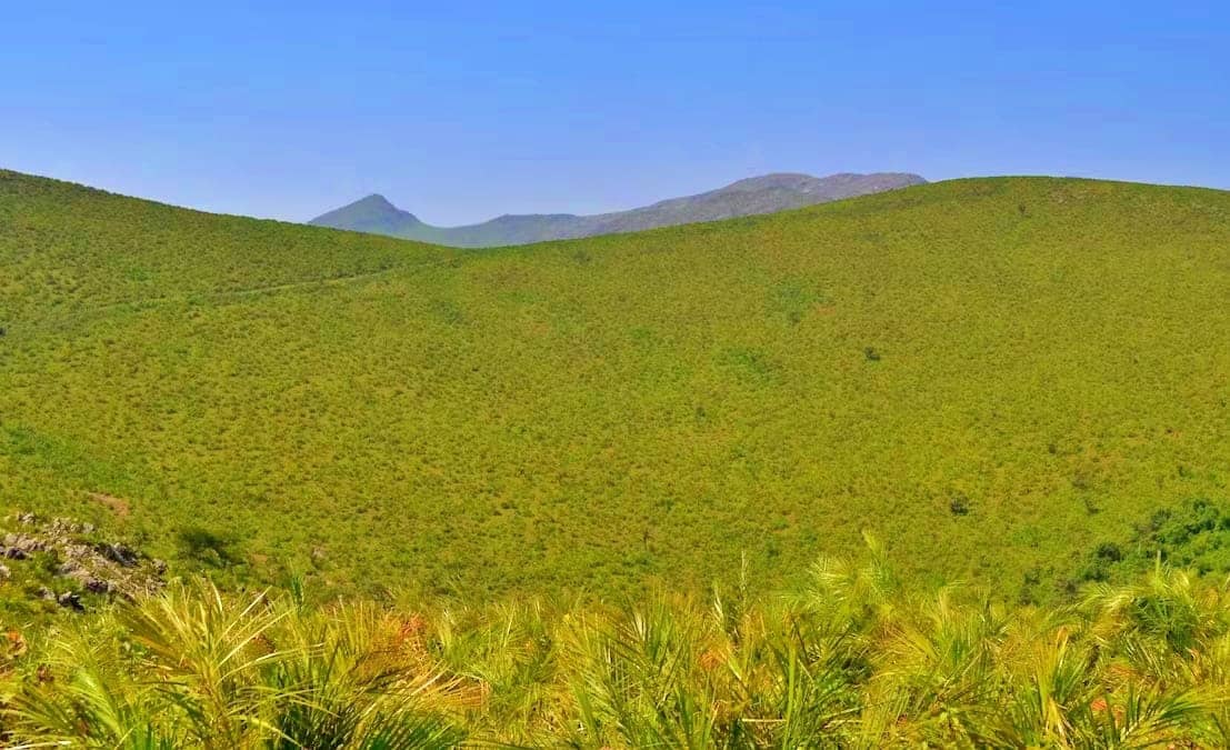 Mahindra Peak Trek Mahindra Peak Trek