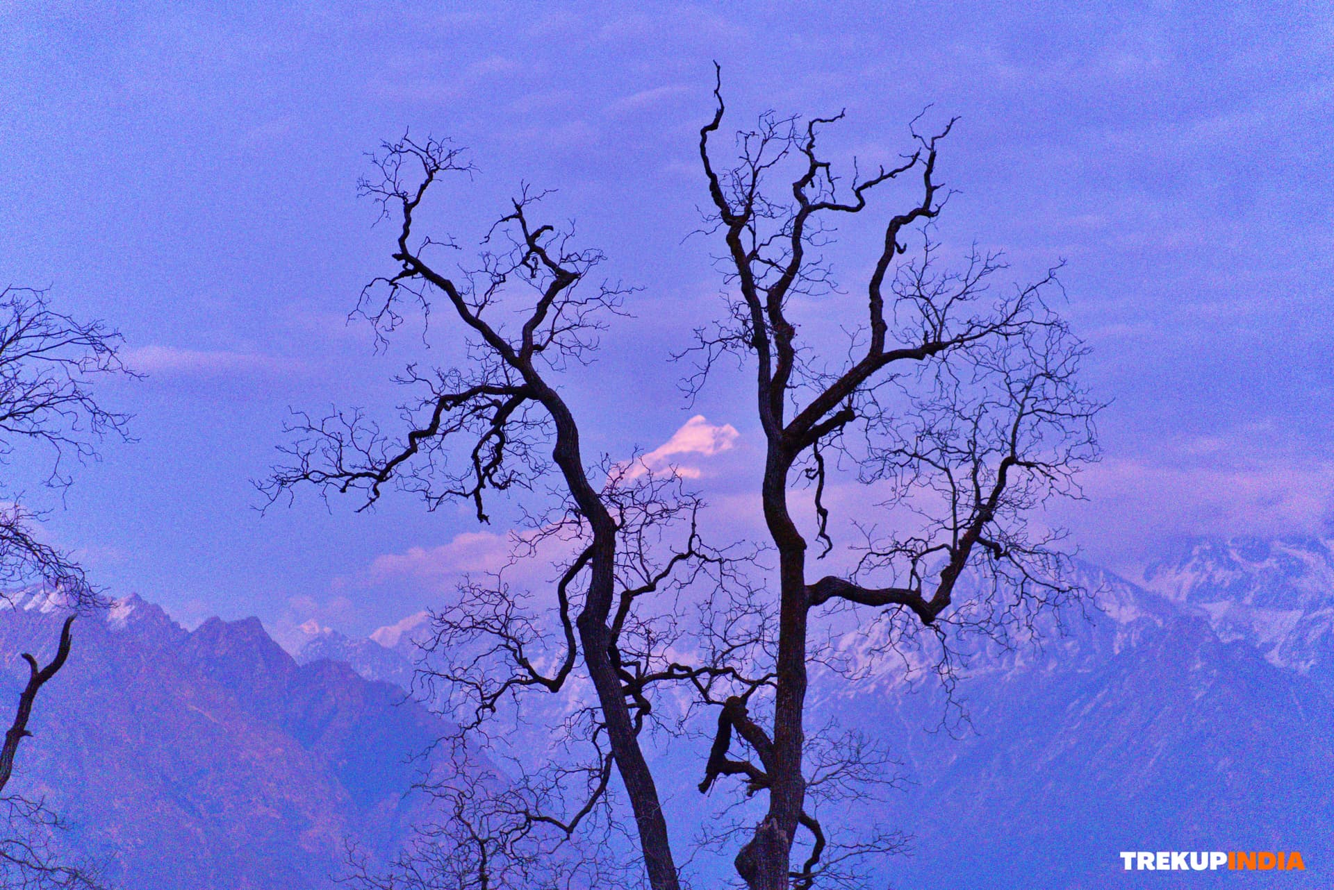 Kuari Pass Trek – Day 5 Kuari Pass Trek – Day 5