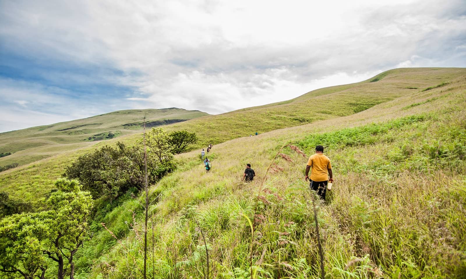 Netravati-trek Netravati-trek