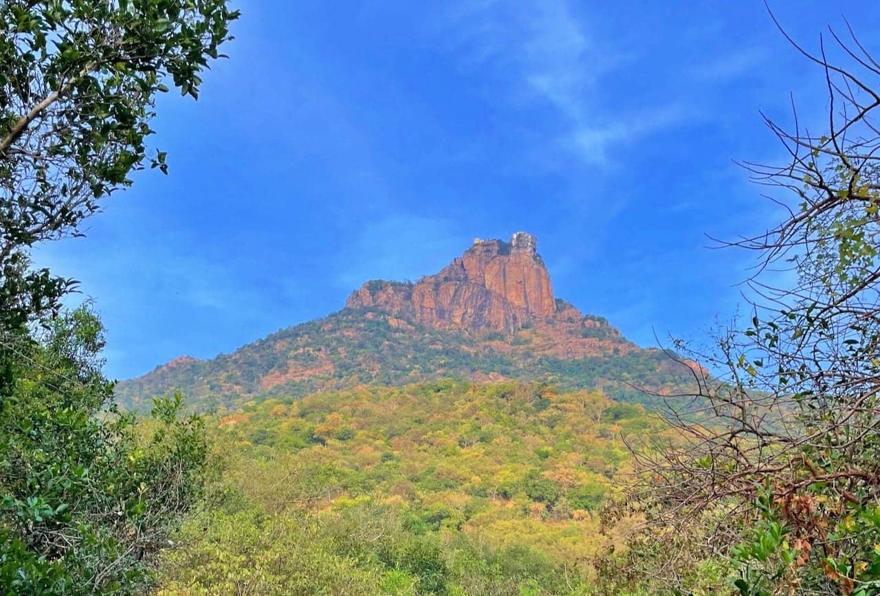 Parvathamalai Trek – Adventurous Temple Trek in Tamil Nadu Parvathamalai Trek – Adventurous Temple Trek in Tamil Nadu