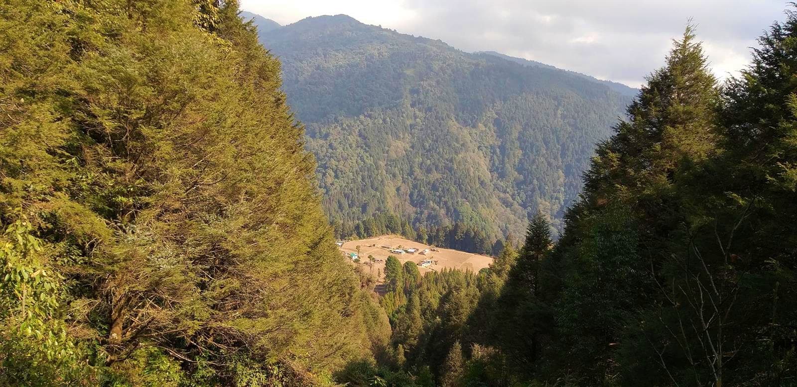 Sandakphu Phalut Trek – Day 1 Sandakphu Phalut Trek – Day 1