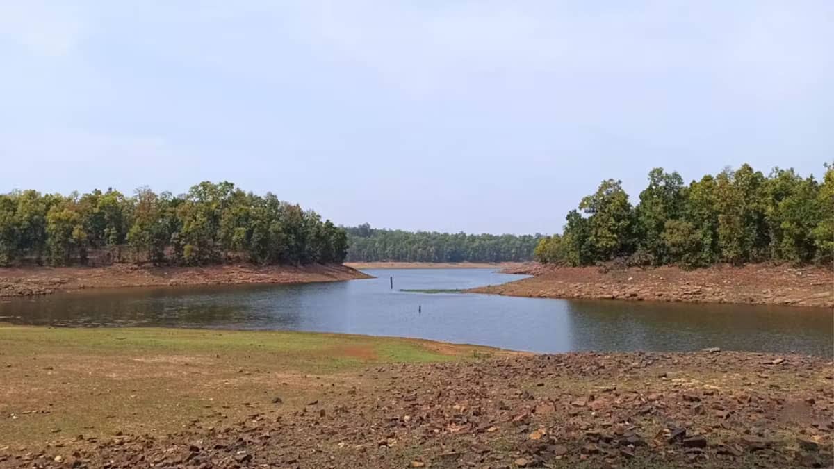 Sanjay Dubri Tiger Reserve Trek | Wildlife Trek Sanjay Dubri Tiger Reserve Trek | Wildlife Trek