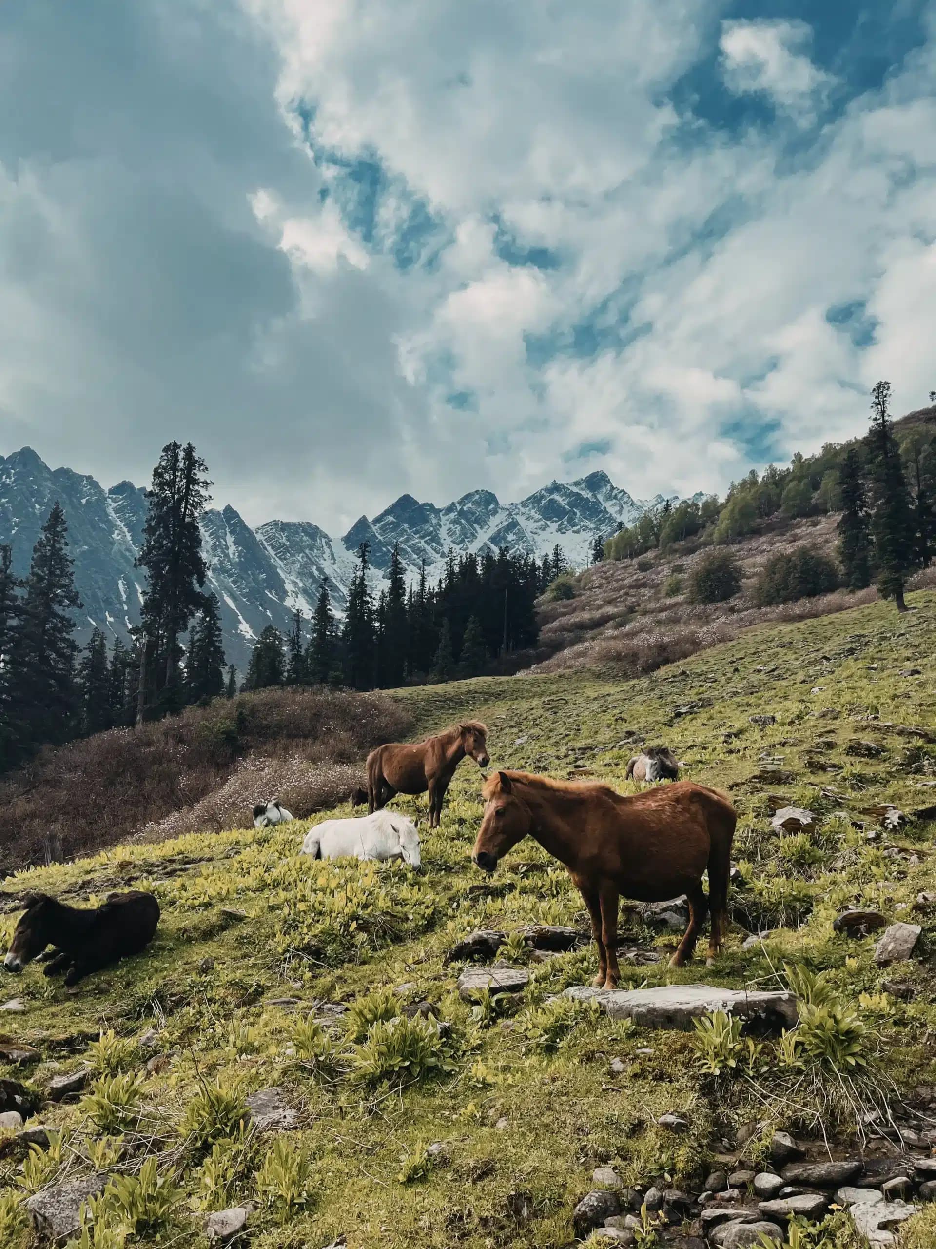 Sar Pass Trek – Day 2 Sar Pass Trek – Day 2