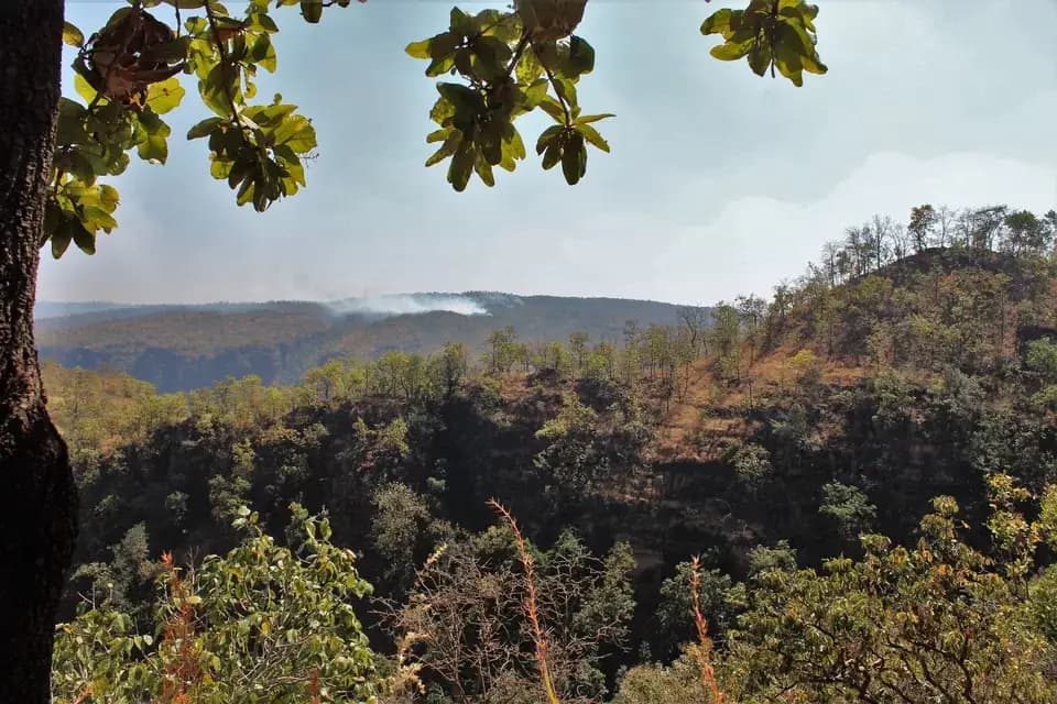 Satpura Forest Trail Satpura Forest Trail