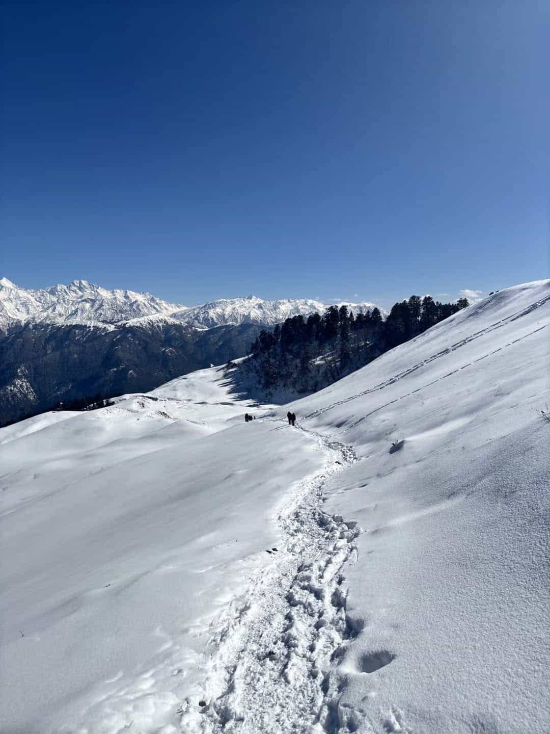 First Himalayan Trek: From Couch to Summit Guide First Himalayan Trek: From Couch to Summit Guide