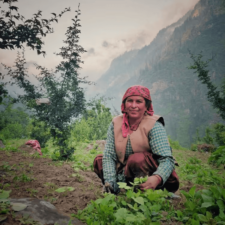 Buran Ghati Trek – Day 1 Buran Ghati Trek – Day 1