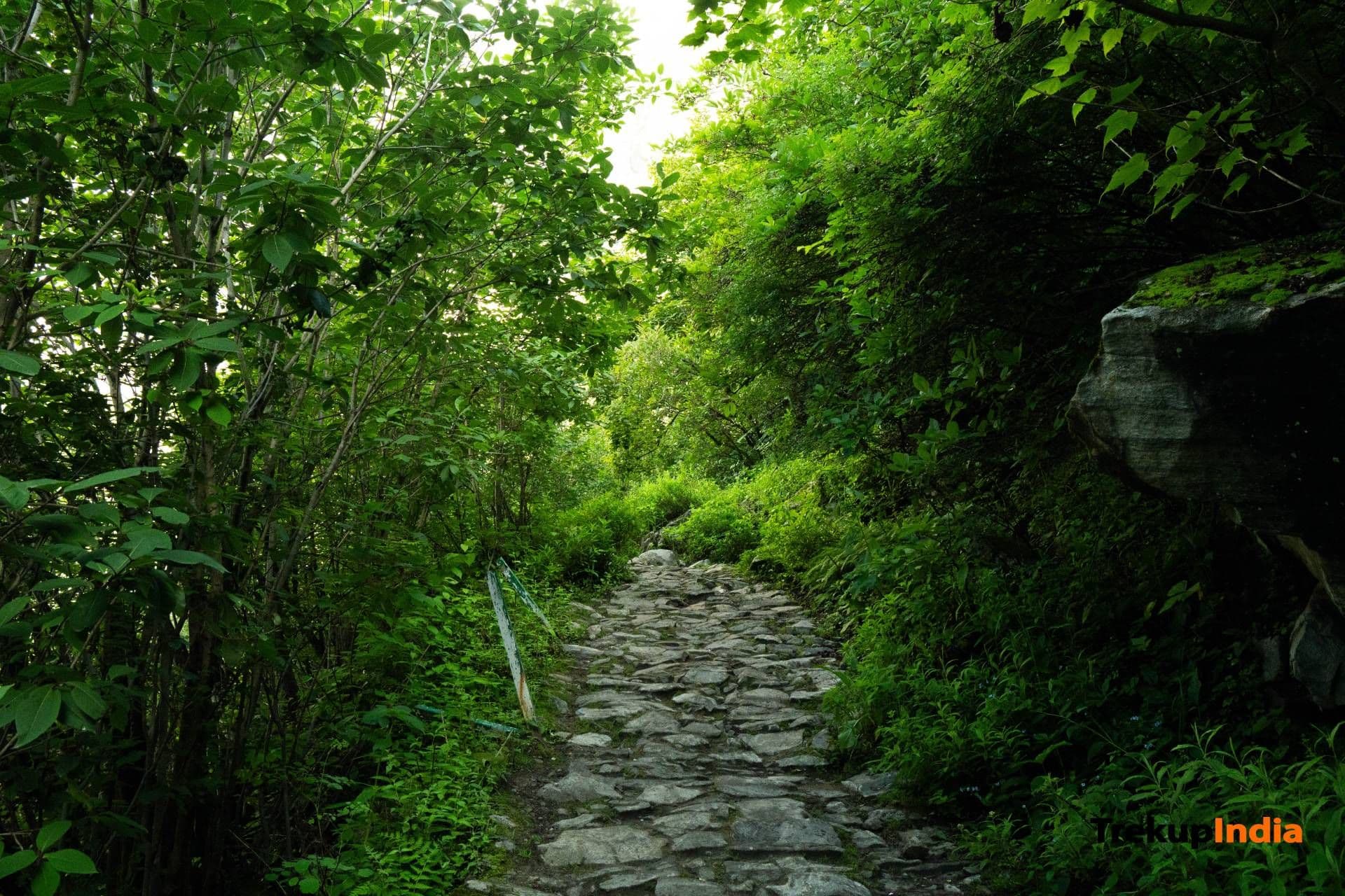 Valley Of Flowers Trek – Day 3 Valley Of Flowers Trek – Day 3