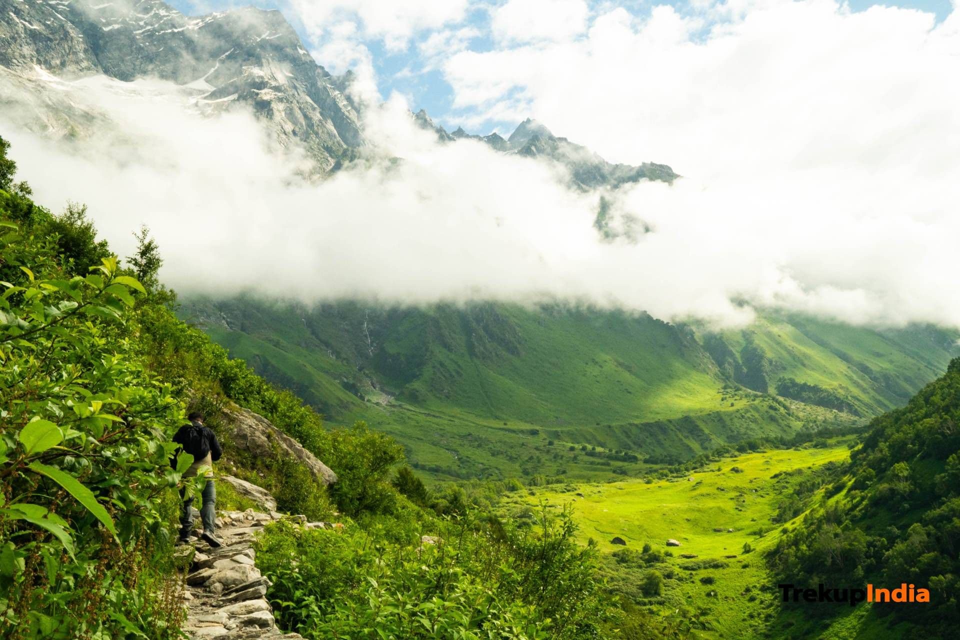 Valley Of Flowers Trek – Day 3 Valley Of Flowers Trek – Day 3