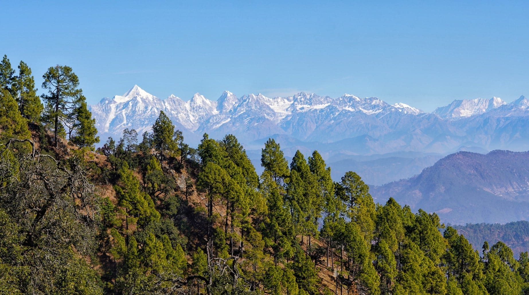 Binsar Wildlife Sanctuary