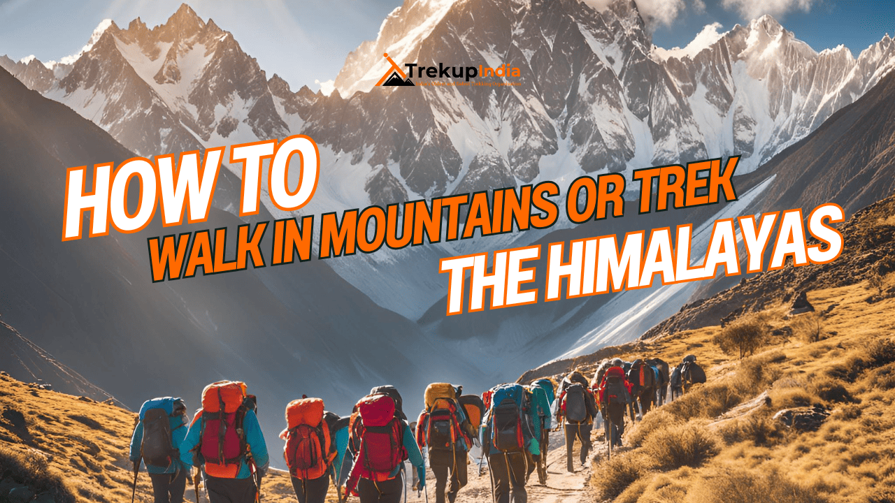 How To Walk In Mountains Or How To Trek In The Himalayas - Trekup India