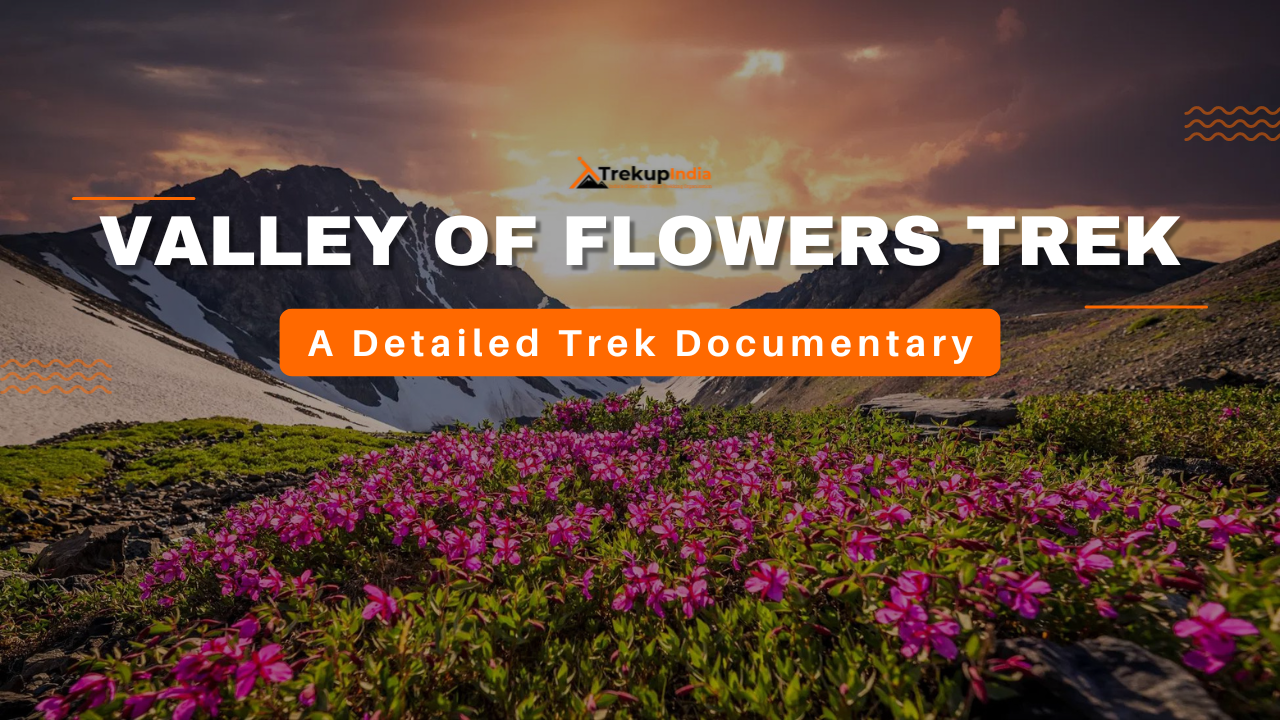 valley of flowers youtube