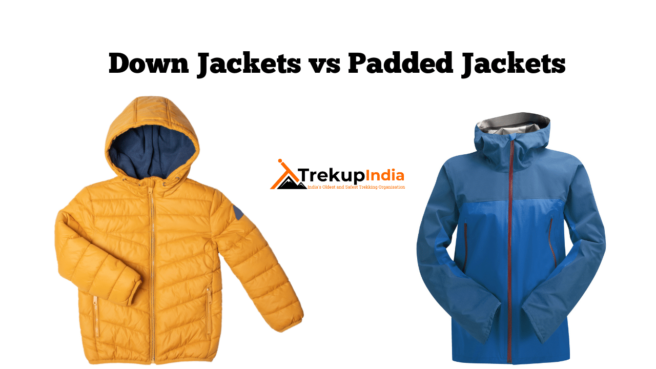 Down Jackets vs Padded Jackets