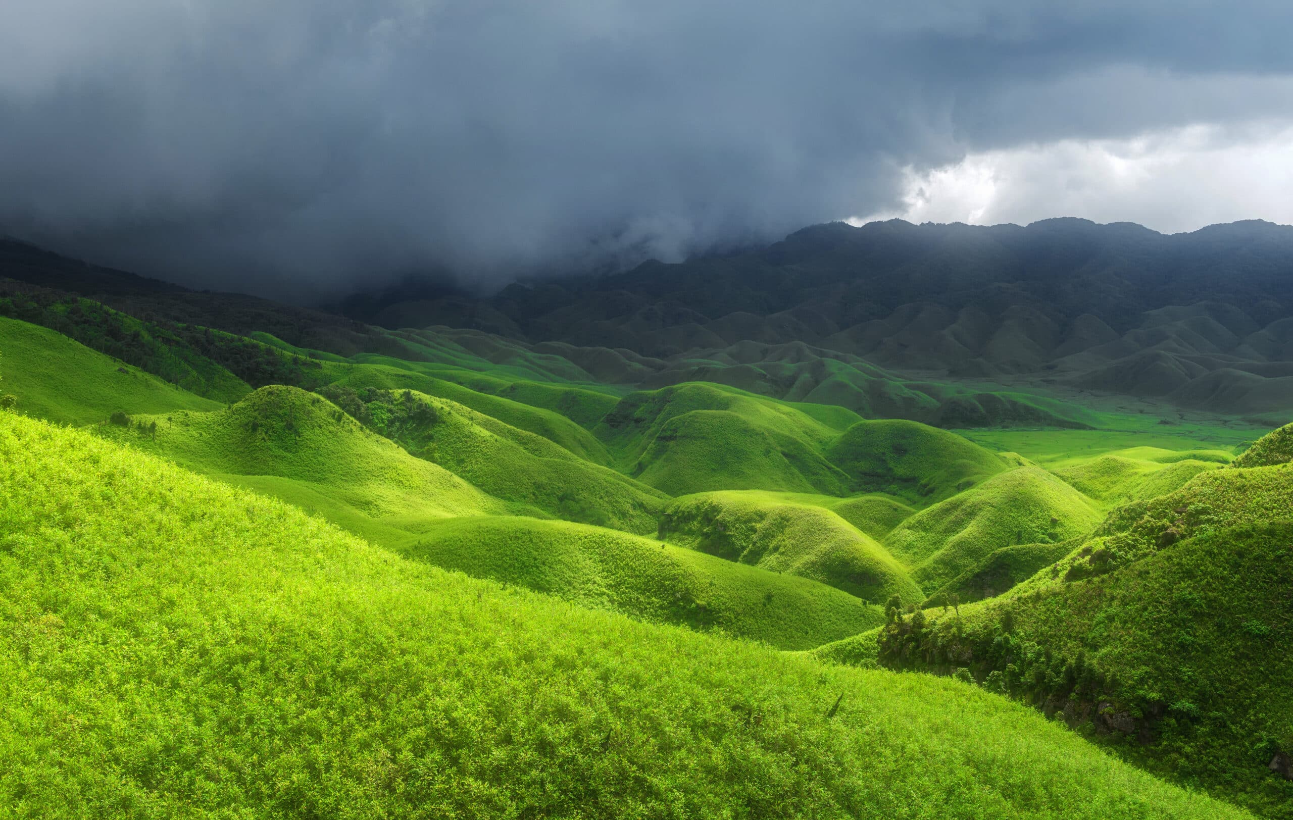 Dzukou Valley and Japfu Peak Trek