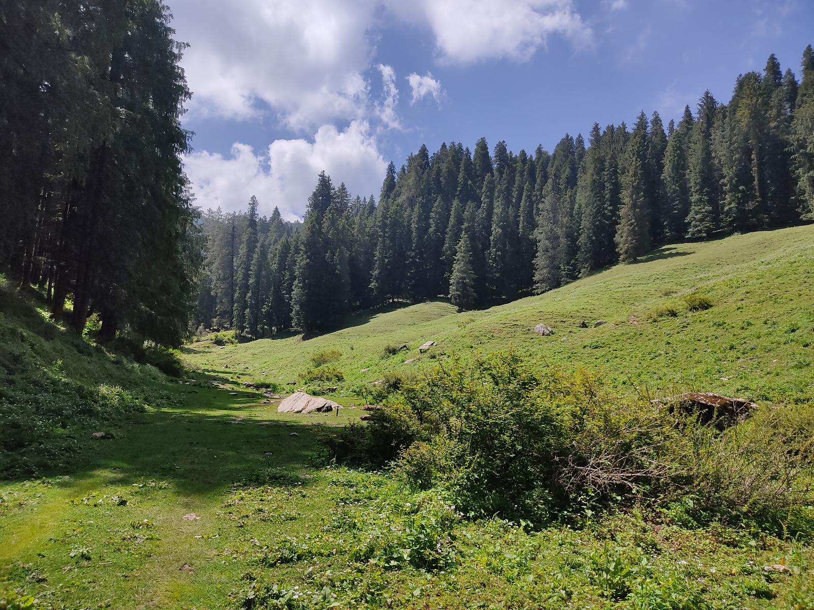 Kuppar Bugyal Trek